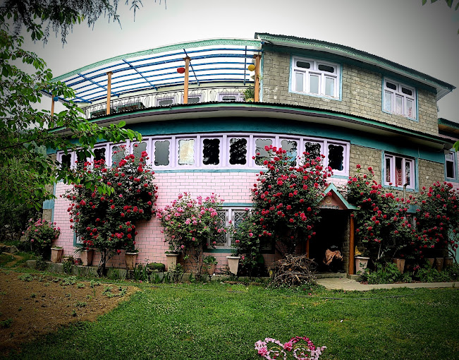 Image 4