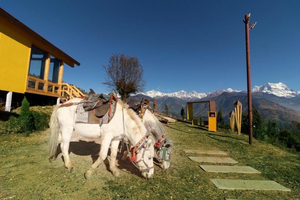Resort Image